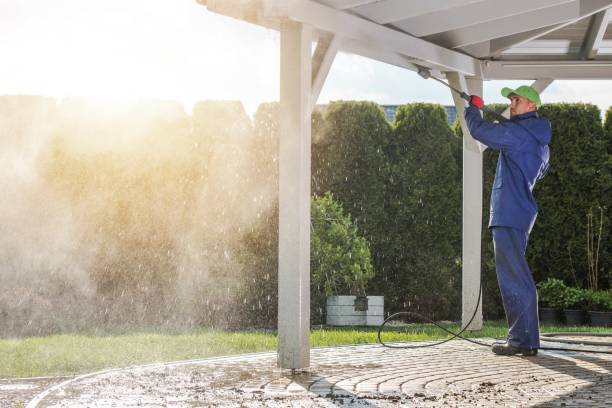 Animal Enclosure Cleaning in Reinholds, PA
